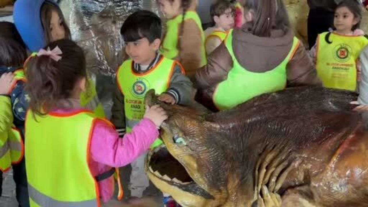 Minikler Türkiye Deniz Canlıları Müzesi'nde Mumya Balıklarla Tanıştı