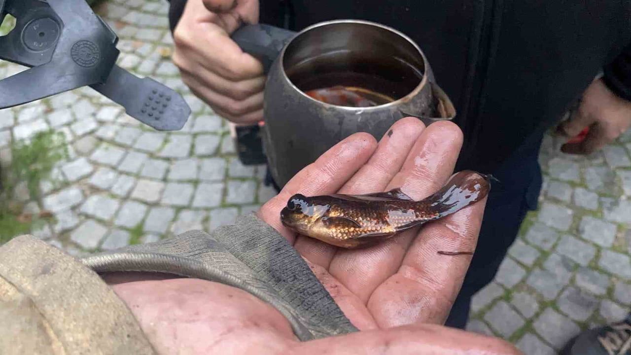 Mudanya'da akvaryum kaynaklı ev yangını: İtfaiye balıkları kurtardı