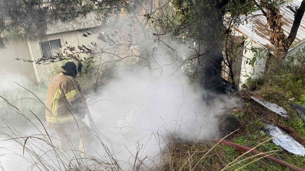 Mudanya Güzelyalı'da çamlık yangını itfaiye müdahalesiyle söndürüldü
