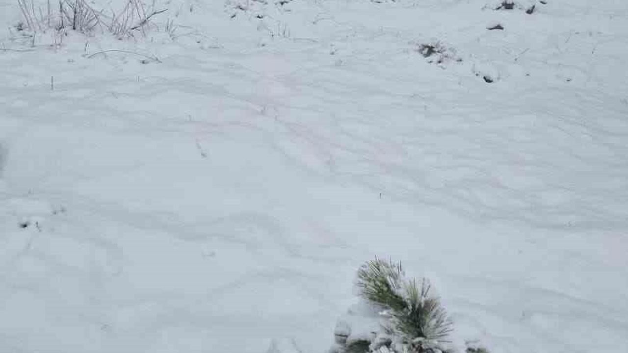 Muğla'da Göktepe Dağı'na mevsimin ilk karı yağdı