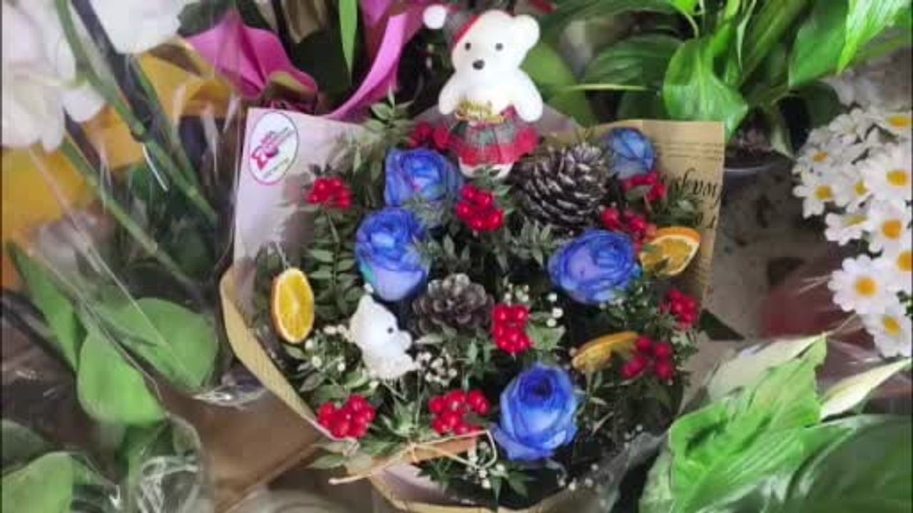 Muğla'da kokina çiçeğine yoğun ilgi