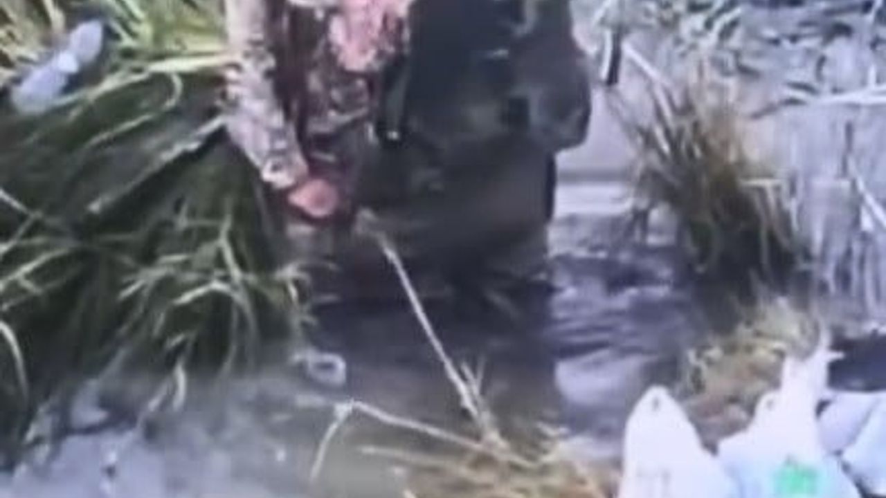 Muğla'da yaban hayatı dronlarla 7/24 korunuyor