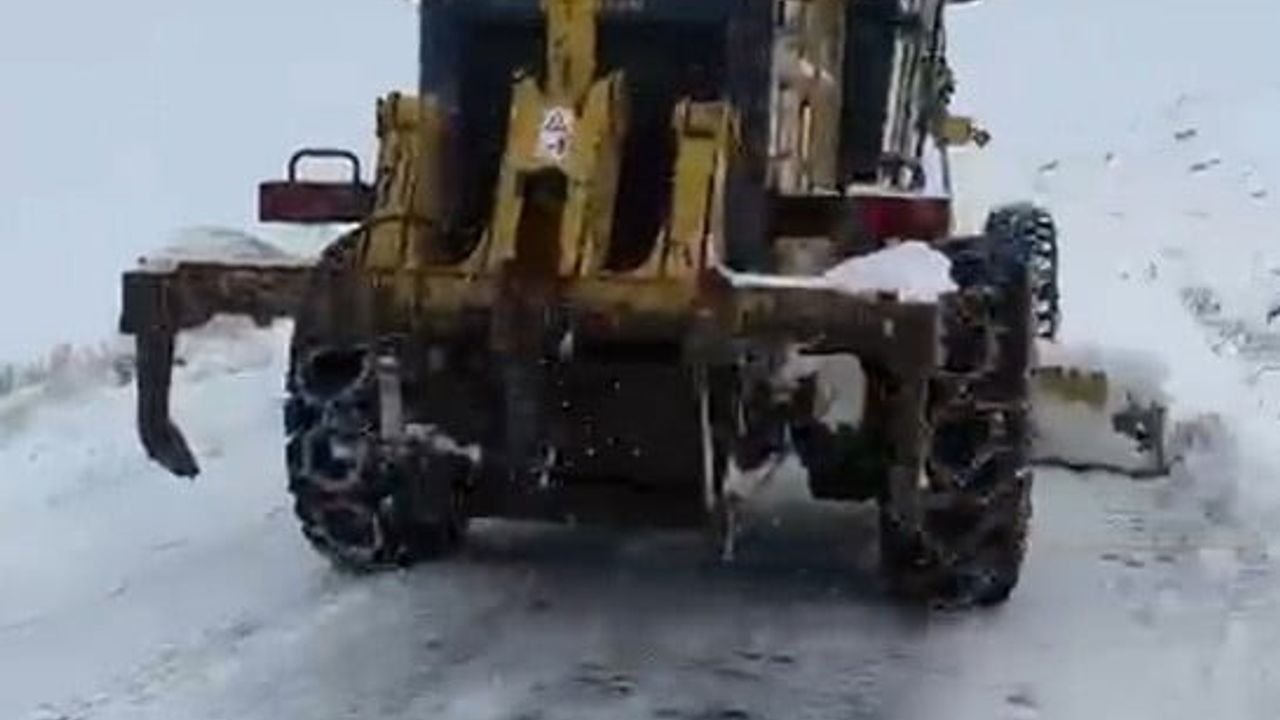 Muş Çınarardı'da kapanan yolda ambulansta doğum