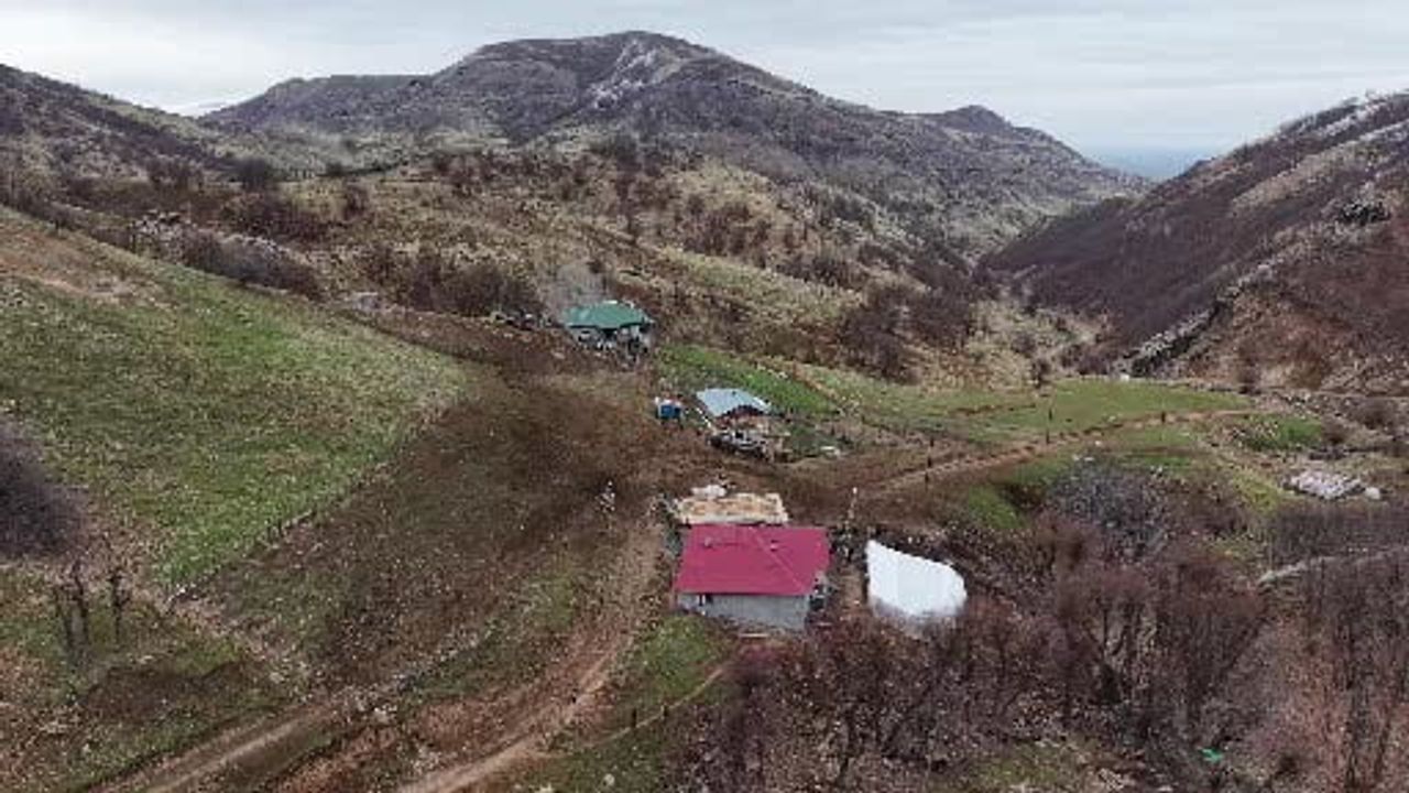 Muş Karabey Köyünde Geleneksel Kavurma Geleneği Sürüyor