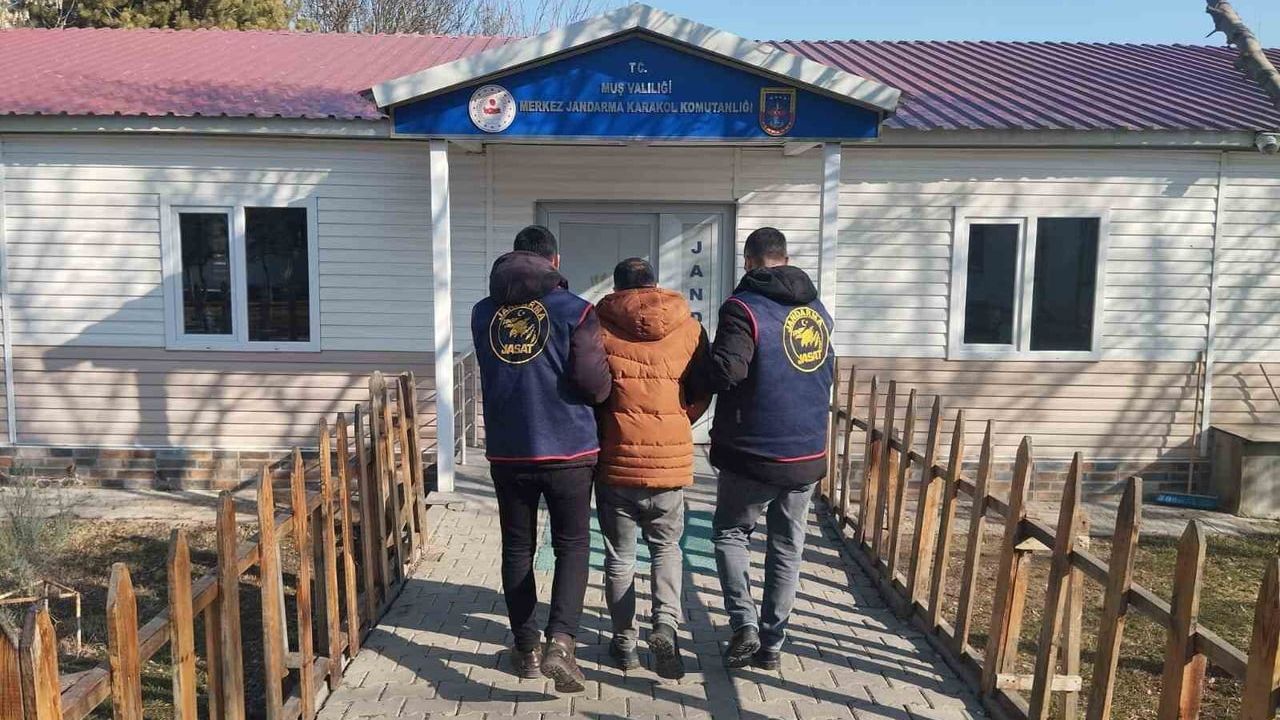Muş'ta 2 yıl hapis cezası bulunan hükümlü JASAT tarafından yakalandı