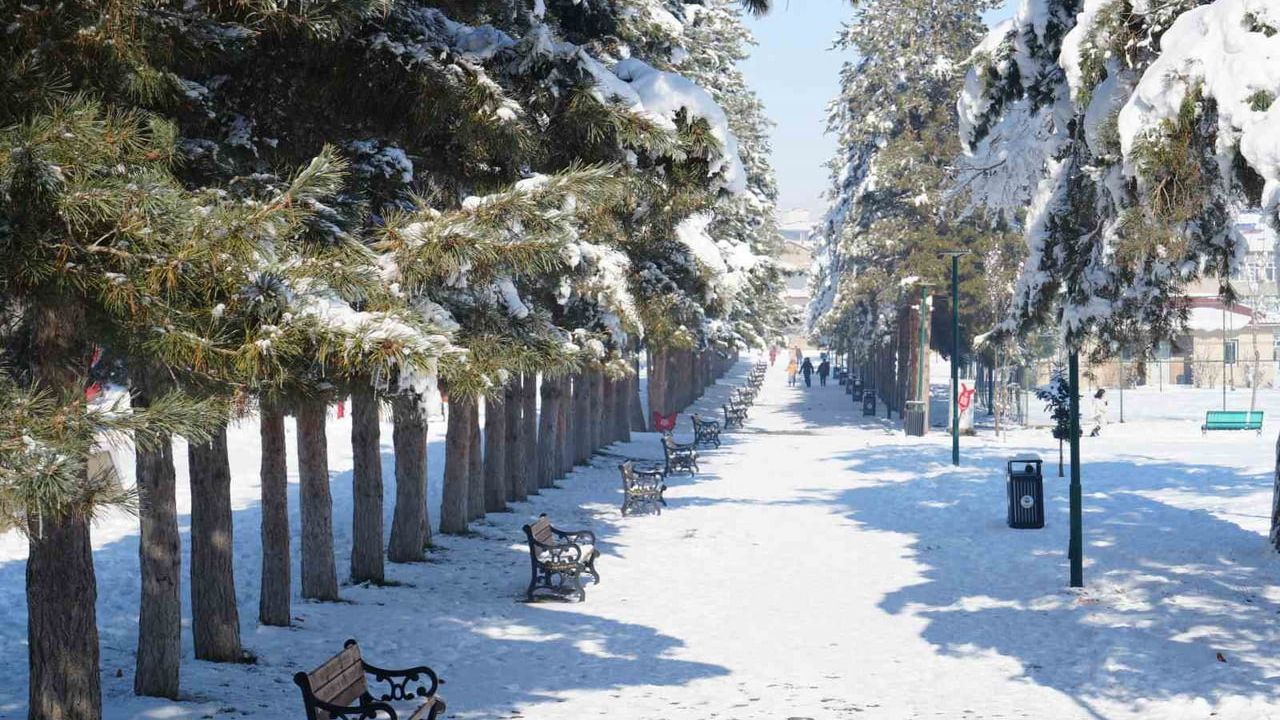 Muş'ta eksi 28: Göletler dondu, çatılarda buz sarkıtları