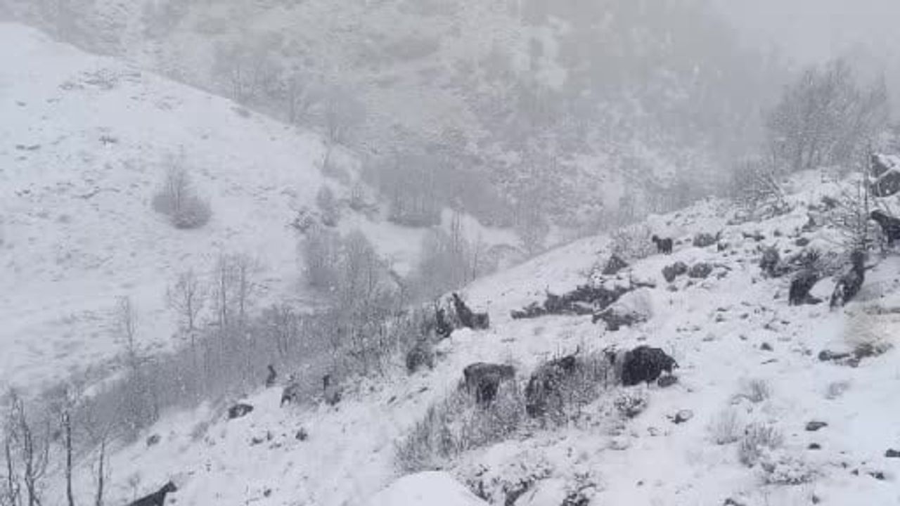 Muş’un yüksek köylerinde kar yaşamı olumsuz etkiledi