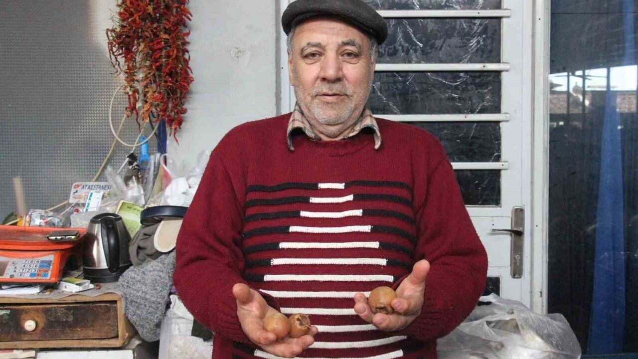 Muşmula: 'Doğal Çikolata' Lezzeti ve Şifası Bozdoğan'da İlgi Görüyor