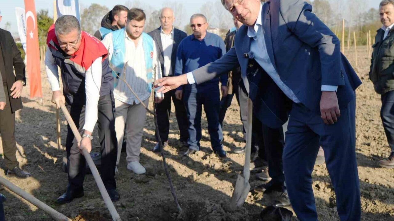 Mustafa Candal: Tasarrufla Kaynak Sağlıyor, İncir Ormanıyla Burs Desteği Sağlayacağız