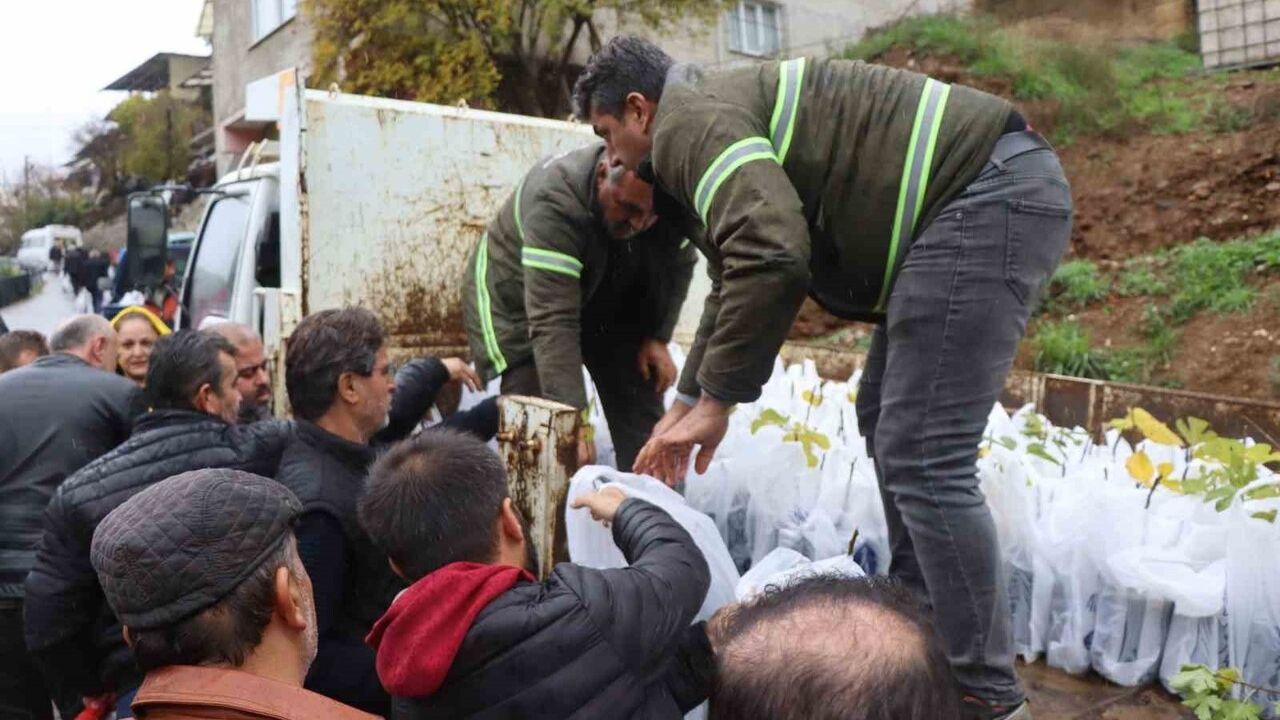 Nazilli Belediyesi 'Yeşeren Topraklar' ile Işıklar Mahallesi'ne 5 bin fidan dağıttı