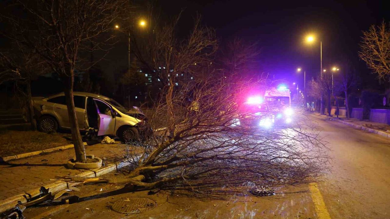 Nevşehir'de ehliyetsiz ve alkollü sürücü ağaca çarptı: 2 yaralı