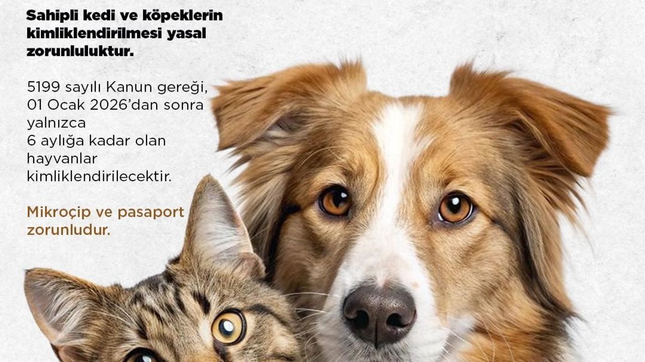 Niğde Belediyesi'nden kedi ve köpek sahiplerine kimliklendirme uyarısı