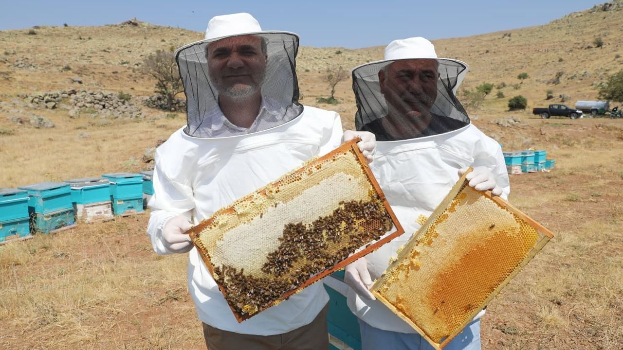 Niğde Geven Balı'na coğrafi işaret tescili