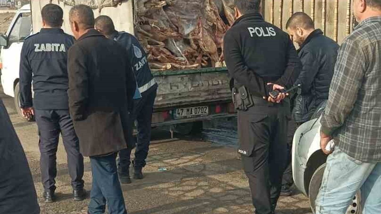 Nizip'te kamyonet kasasında kilolarca bozuk et ele geçirildi