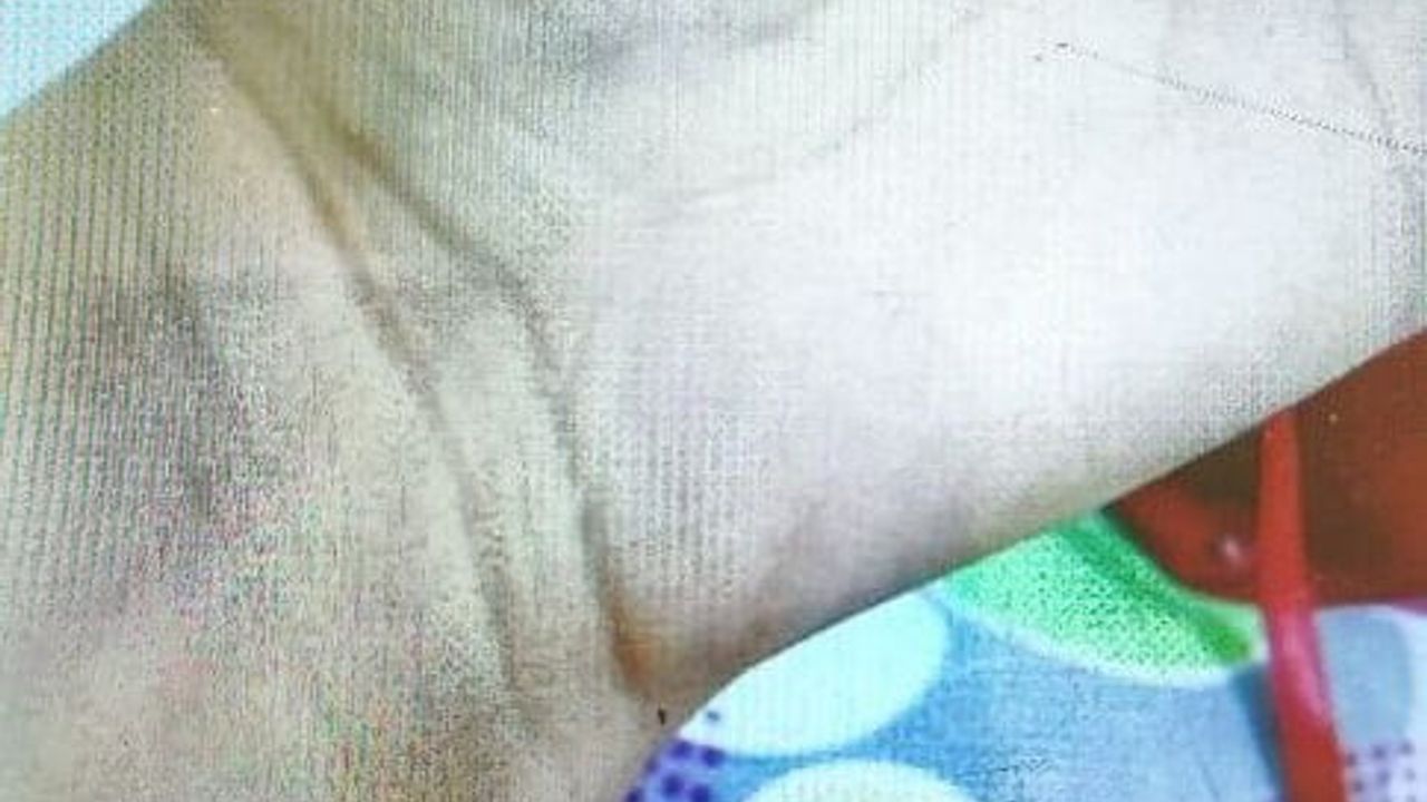 Öğretmen mal varlığını TSK'ya bağışladı; vasilik ve 'psikoz' iddiası