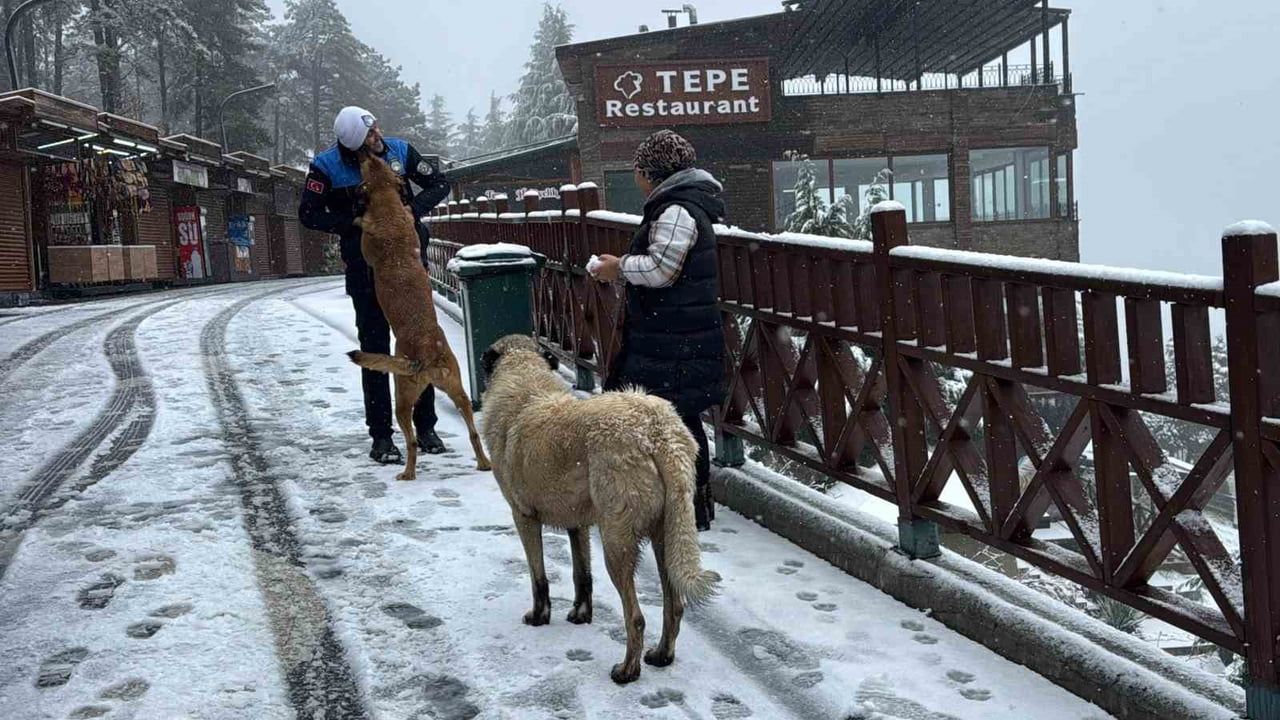 Ordu Boztepe beyaza büründü: Seyir terası karla kaplandı