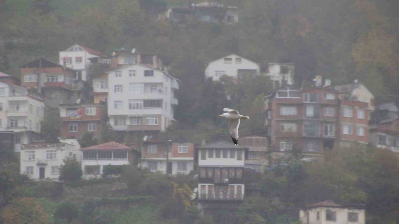 Ordu'da Boztepe'yi Sis Bulutları Kapladı