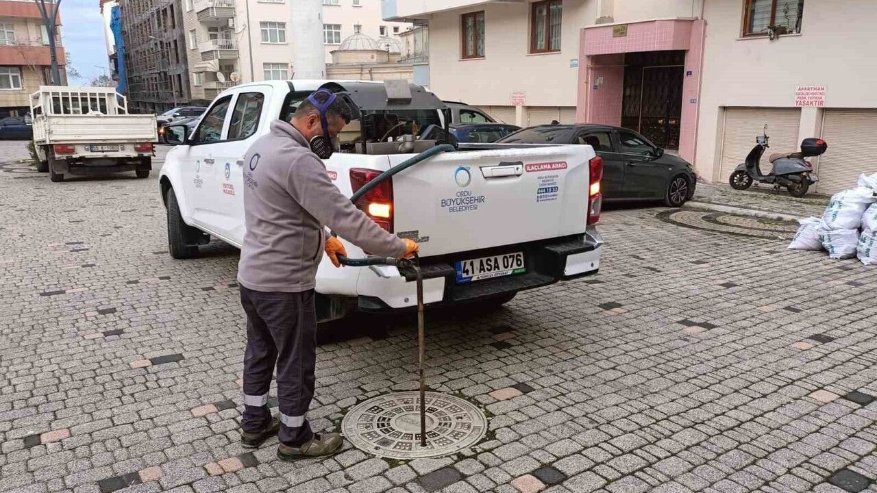 Ordu'da kışlık haşere mücadelesi başladı