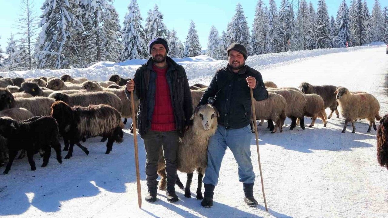Ordu Kabadüz'de kartpostallık kar ve yayla dönüşü