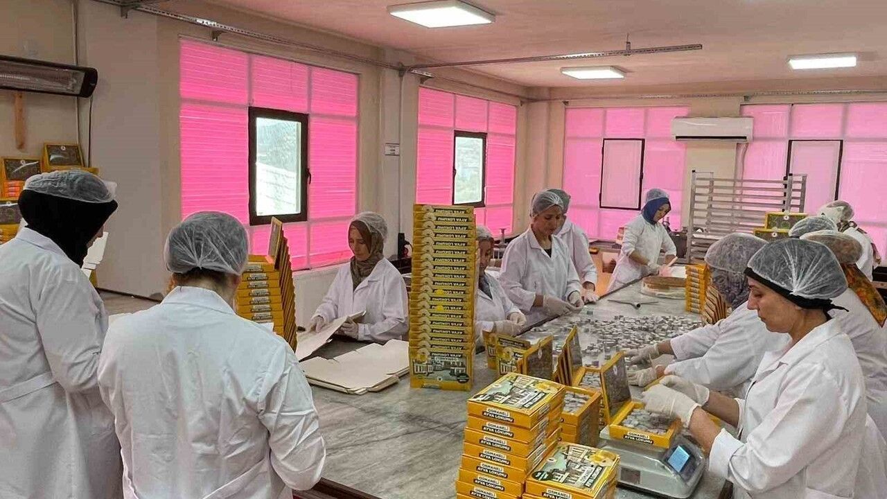 Osmaneli Ayva Lokumu Türkiye geneline ulaşıyor