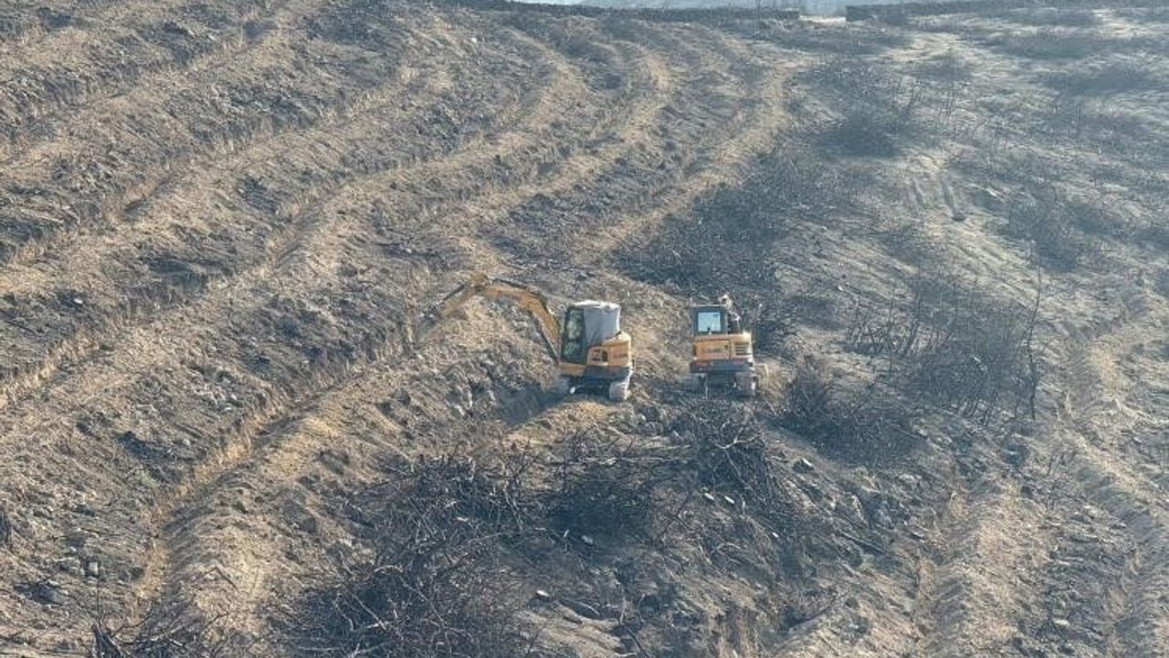 Osmaneli'de yangınzedeler için ağaçlandırma çalışmaları hız kazandı