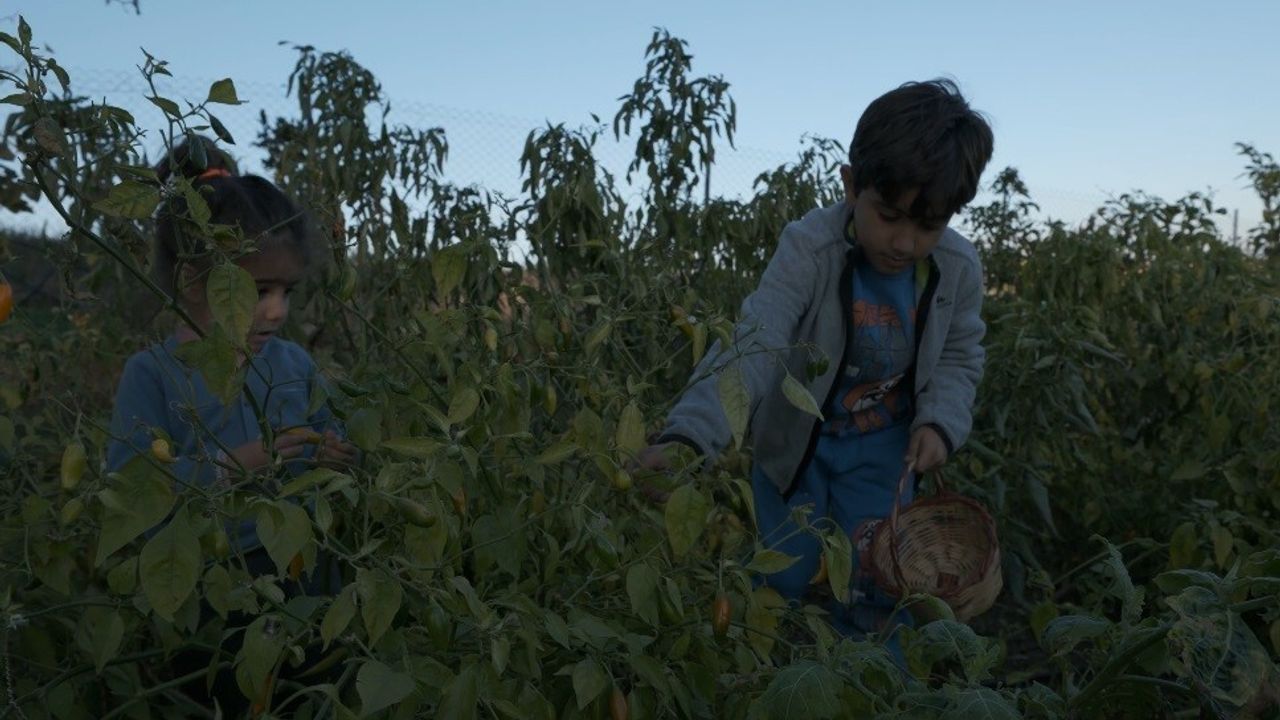 Osmaniye'de deprem sonrası toprağa tutunan noter katibi Mahmut Yıldız