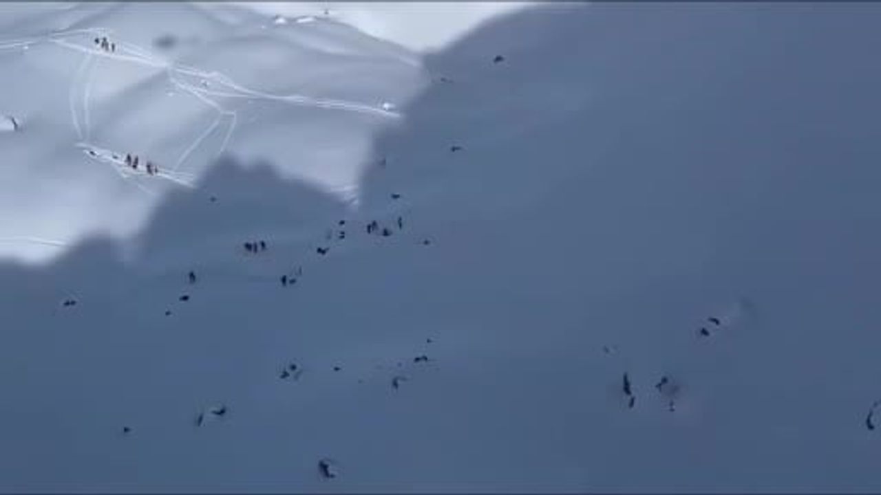 Panticosa kayak merkezinde çığ faciası: 3 ölü