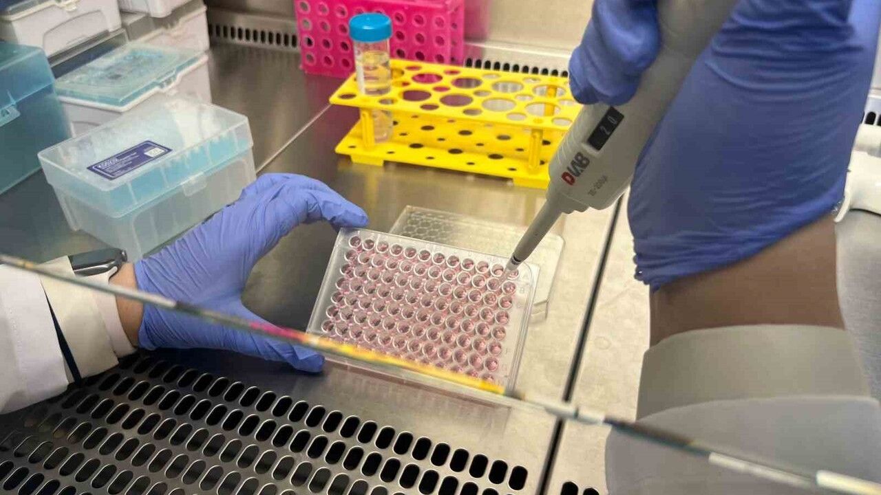Parkinson araştırmasında bağırsak‑beyin iletişimi çip üstü organlarla modelleniyor