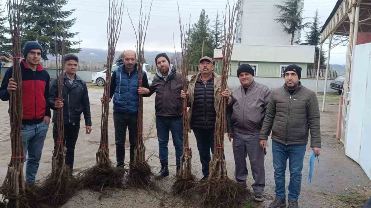 Pazaryeri'de "Meyveciliği Geliştirme" projesi: 450 fidan üreticilere verildi