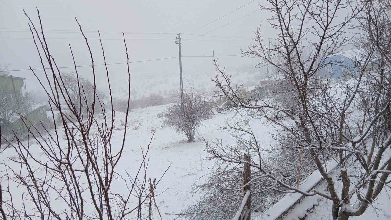 Posof'ta Yoğun Karla Mücadele Sürüyor