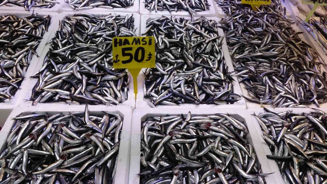 Recep Denizer: Hamsi Türk karasularını erken terk etti