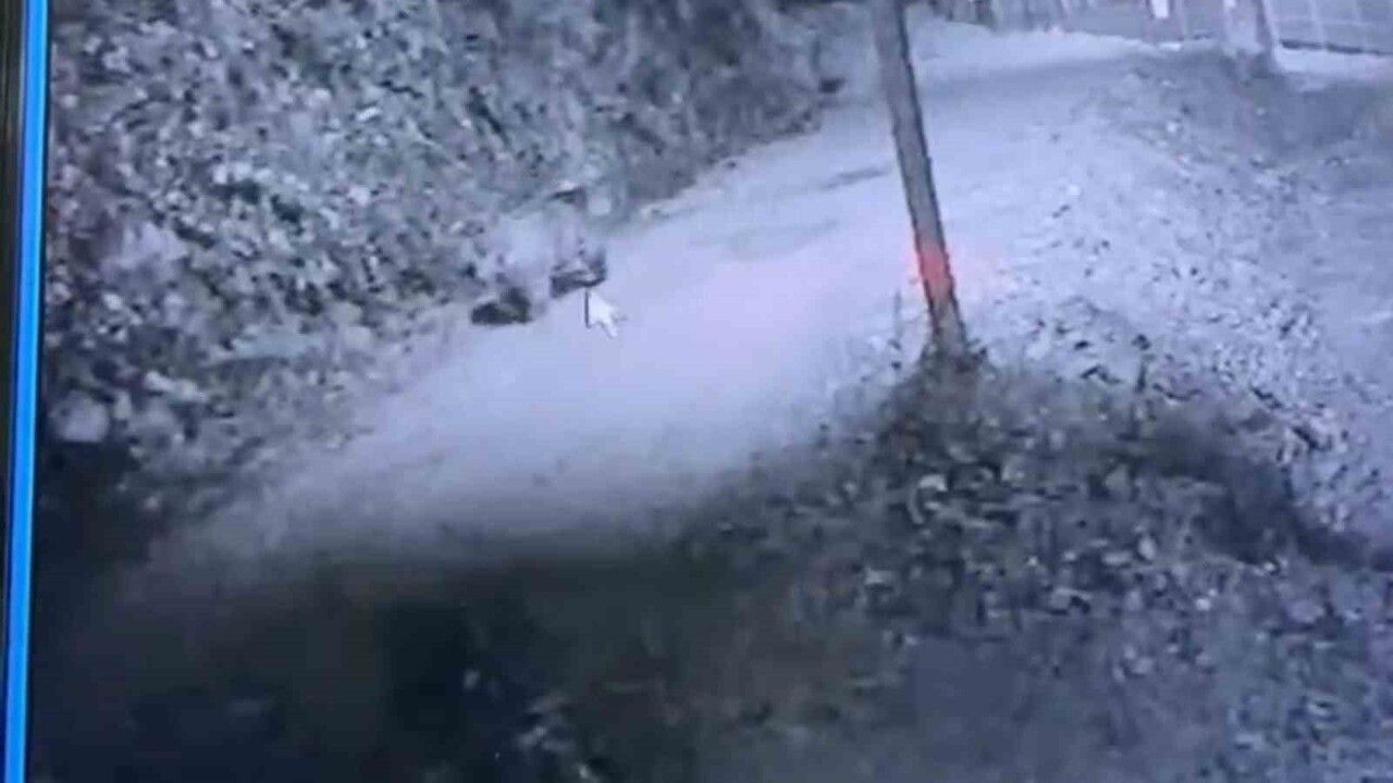 Rize’de av izni verilen ayı güvenlik kamerasına yansıdı