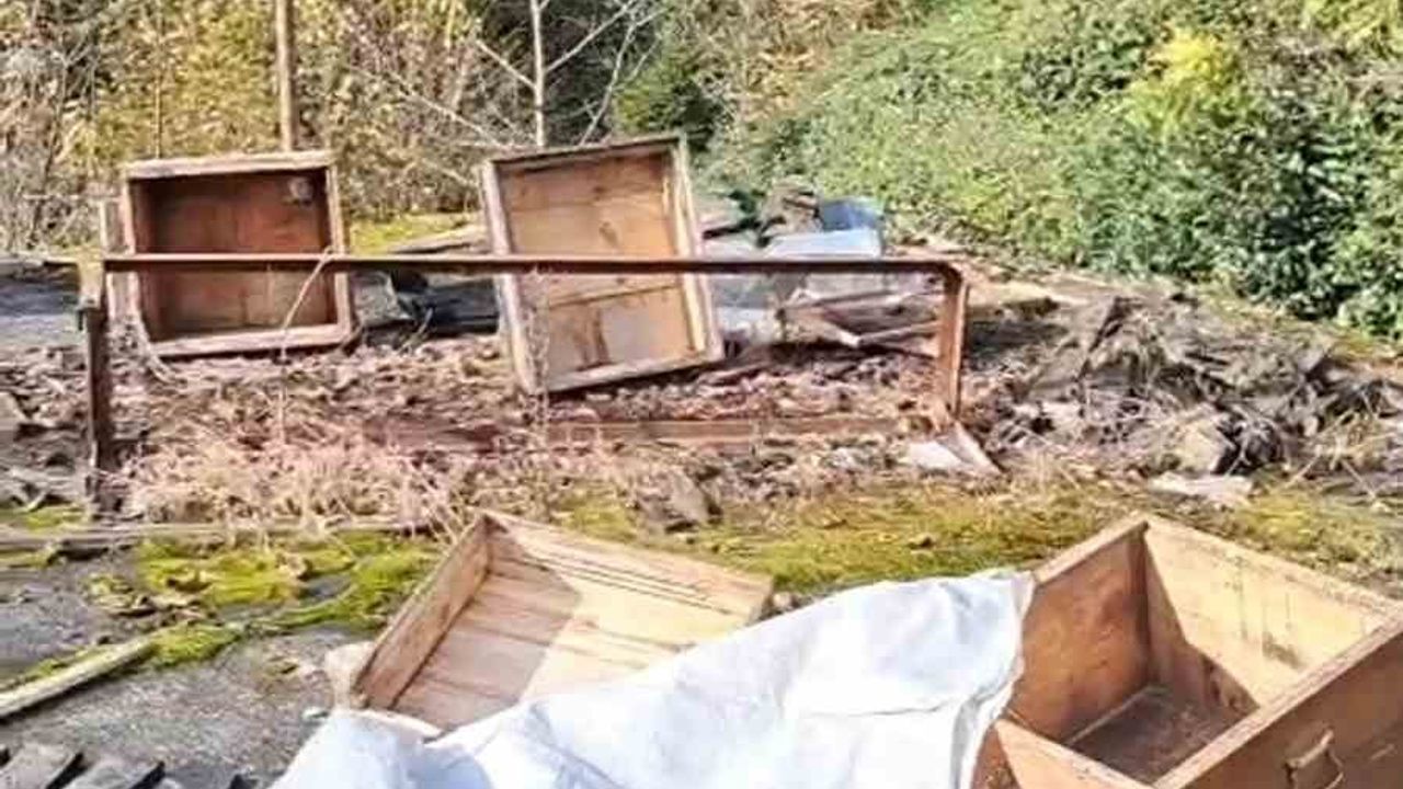 Rize'de ayı kovanları parçaladı; üreticiden 'Ben şimdi ne edeyim?' tepkisi