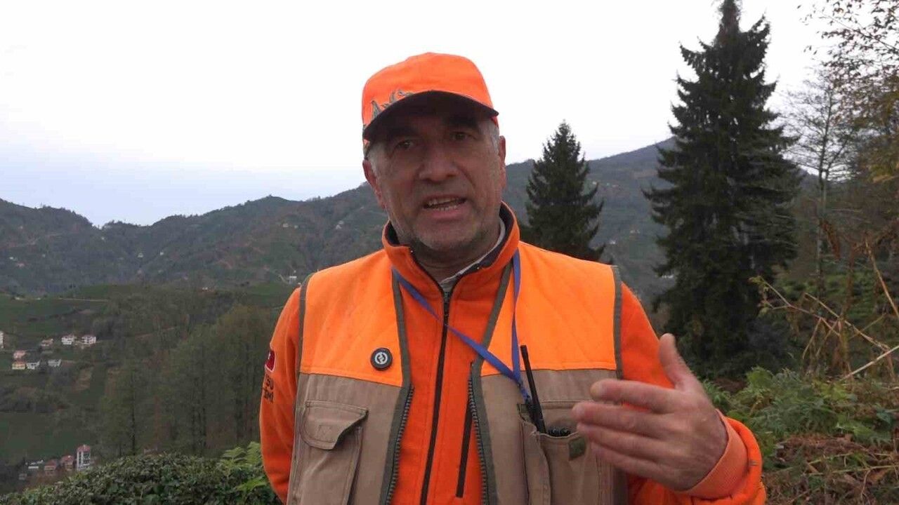 Rize'de ayılar için özel sürek avı başlatıldı