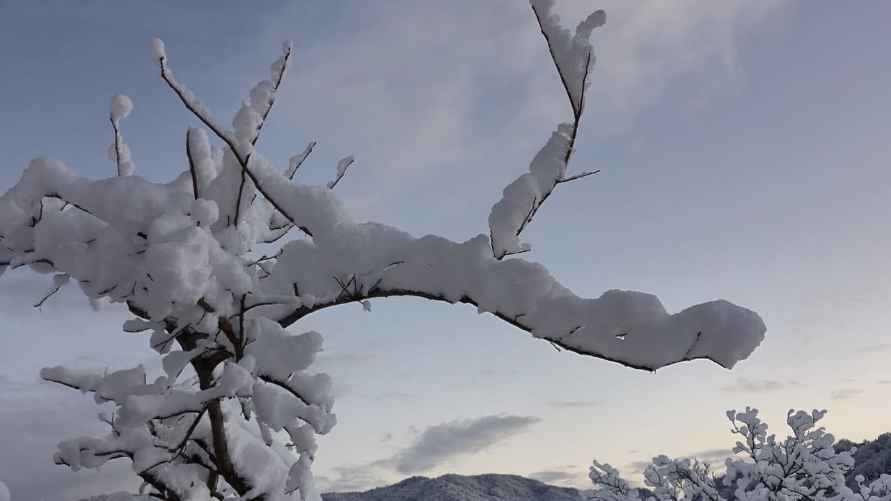 Rize’nin yüksek yaylalarında kar 1 metreyi aştı, 57 köy yolu kapandı