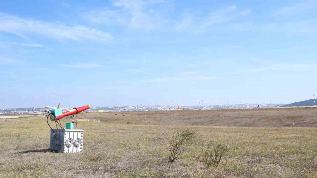 Sabiha Gökçen’de 7/24 yaban hayatla mücadeleyle uçuş emniyeti sağlanıyor