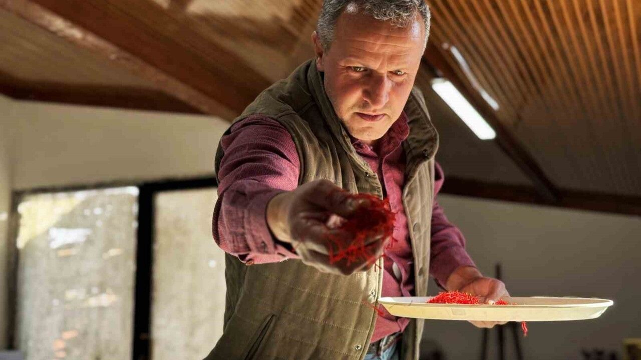 Safran, sarımsak ve kırmızı biber için NIR ve fitokimyasal orijin doğrulama projesi