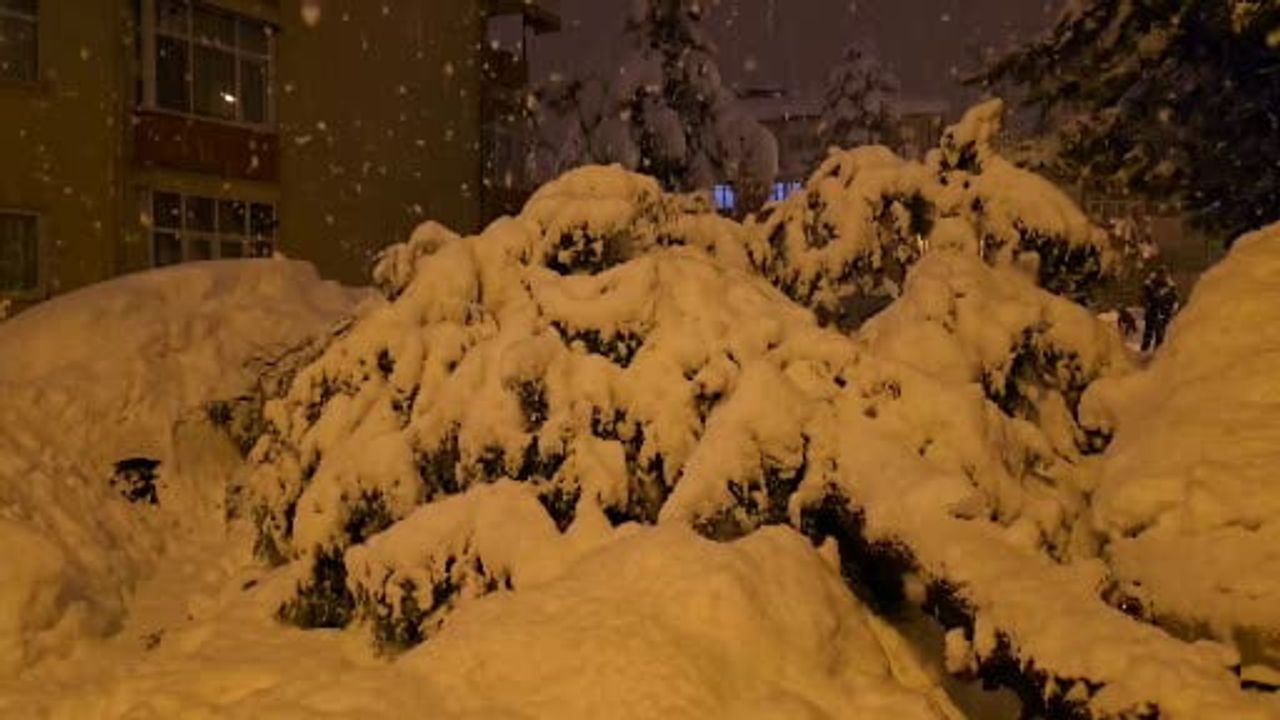 Safranbolu'da çam ağacı kar nedeniyle park halindeki iki araca devrildi