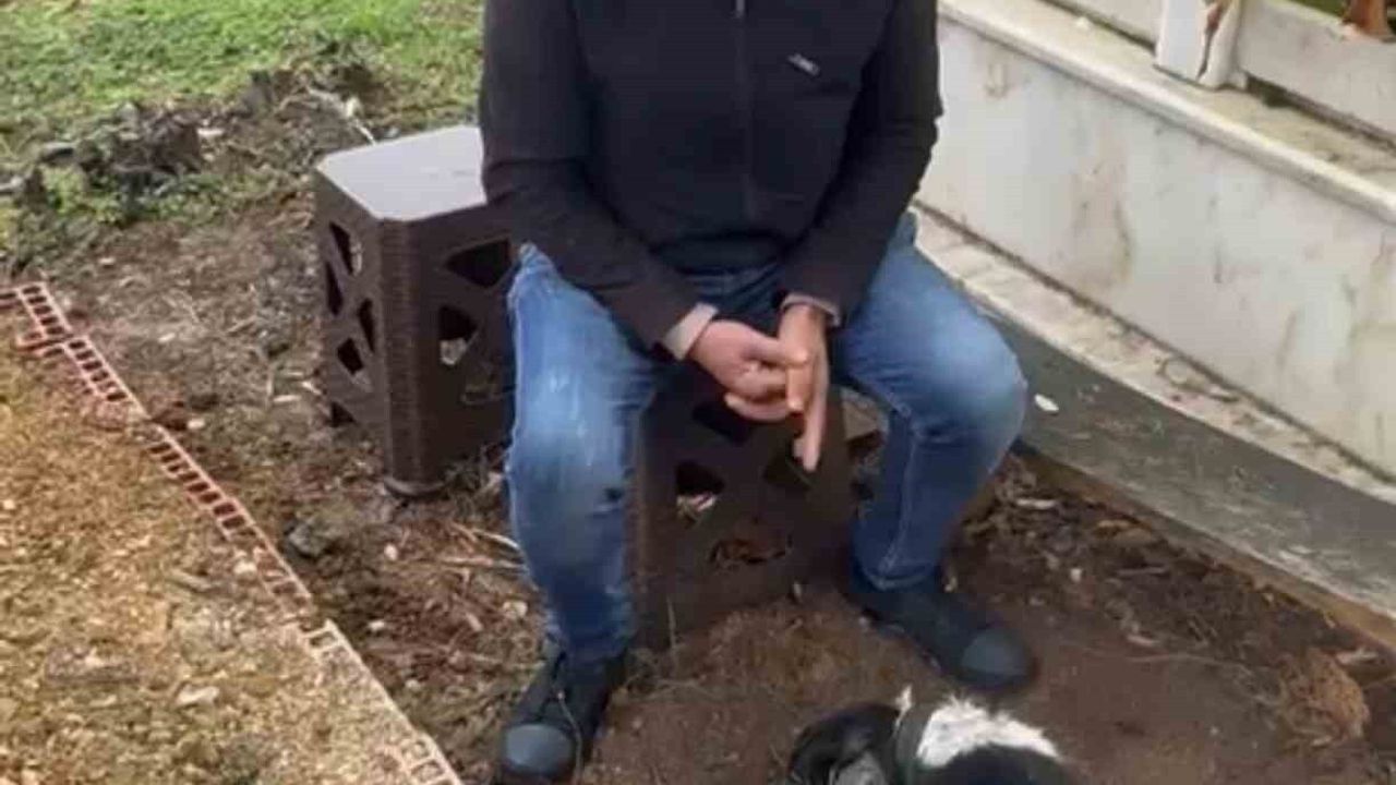 Sahibinin mezarından ayrılmayan köpek Tekkeköy'de duygulandırdı