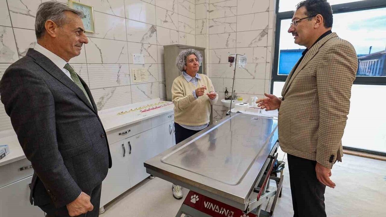 Sakarya’da Avrupa standartlarında Sokak Hayvanları Doğal Yaşam Kampüsü açıldı