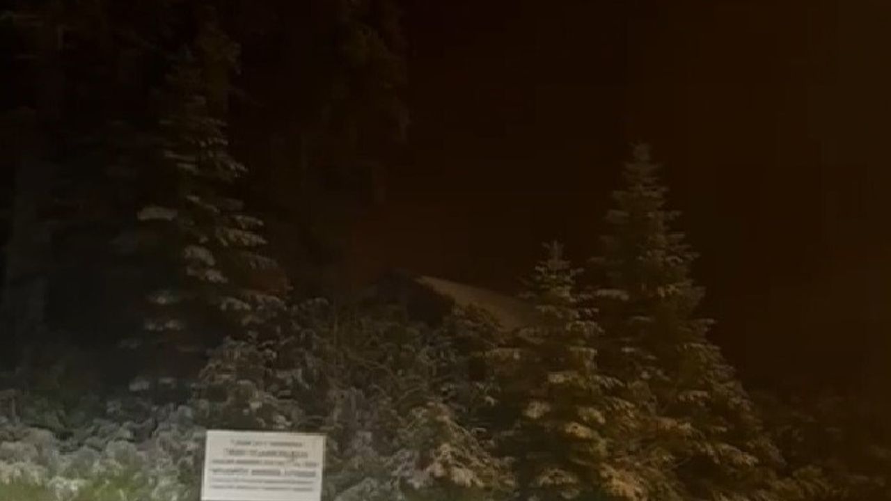 Sakarya Hendek yaylaları karla kaplandı