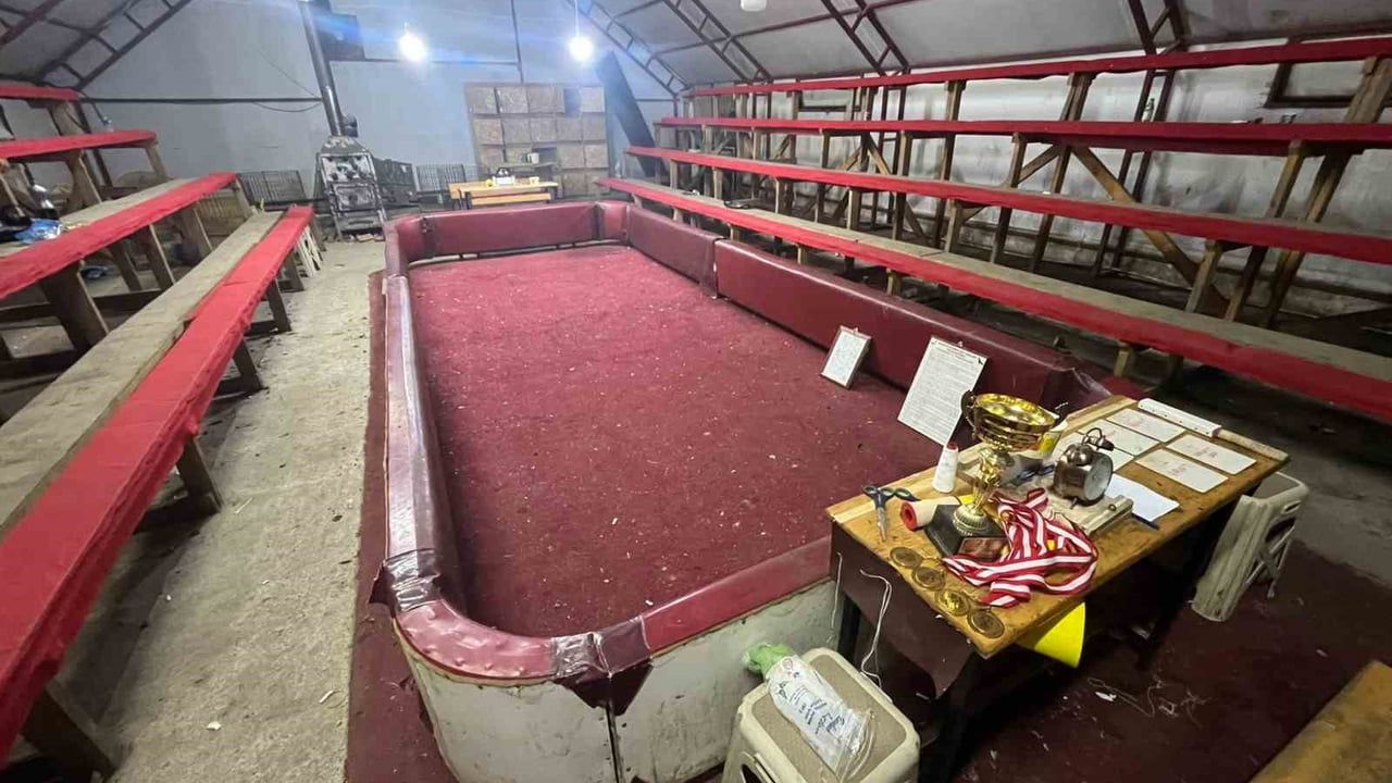 Sakarya Kocaali'de horoz dövüşü operasyonu: 34 kişiye ceza, 25 horoz koruma altında