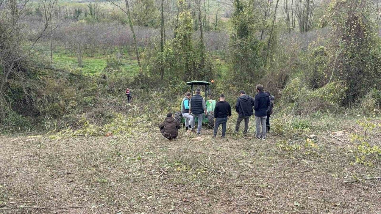 Samsun'da ağaç kesimine yardım ederken hayatını kaybetti