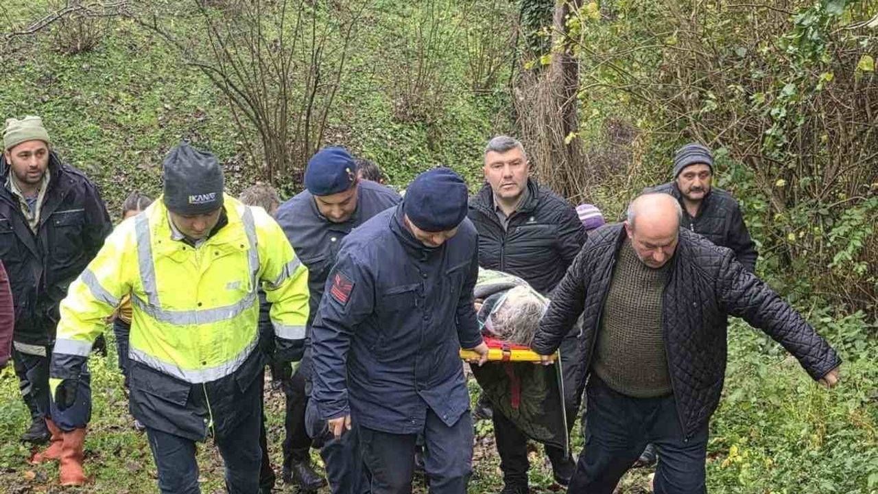 Samsun'da Alzheimer hastası kadın ormanlık alanda yaralı bulundu