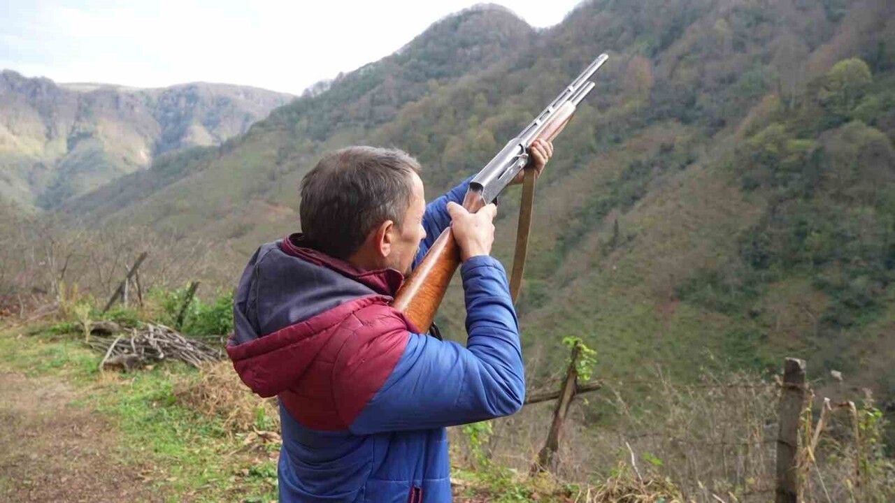 Samsun'da domuz alarmı: Avcılar 'takoz' zorunluluğuna itiraz ediyor