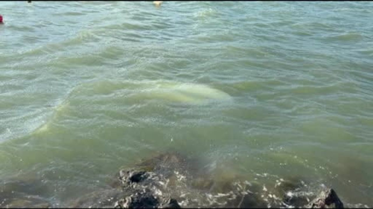 Samsun'da Karadeniz fırtınası: 3 tekne battı