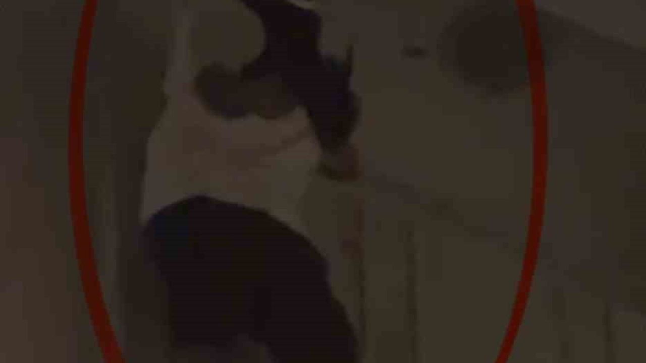 Samsun'da sivil polis paniği: Balkona çıkan yabancı uyruklu kişi yardım istedi