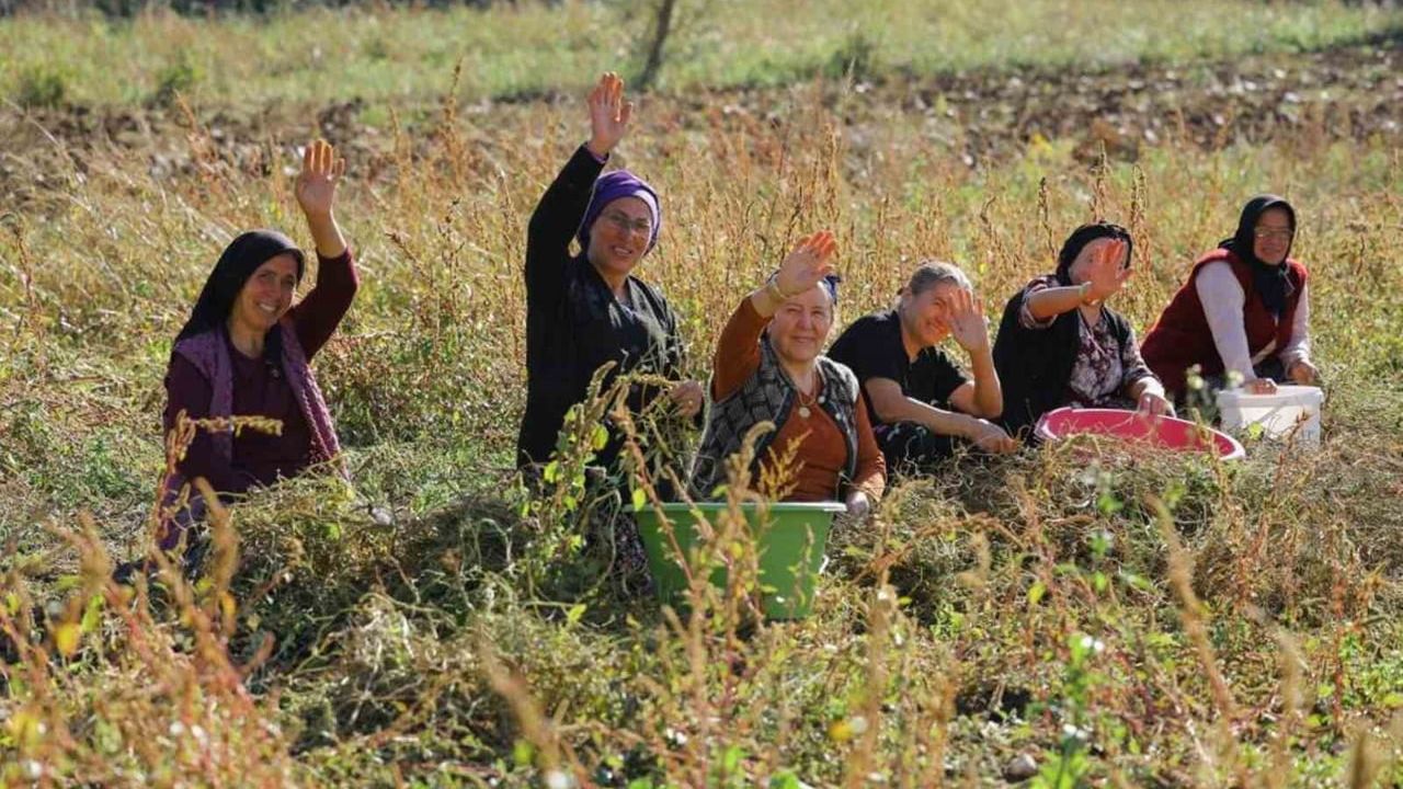 Samsun'da tarımsal ve hayvansal üretime kapsamlı destek