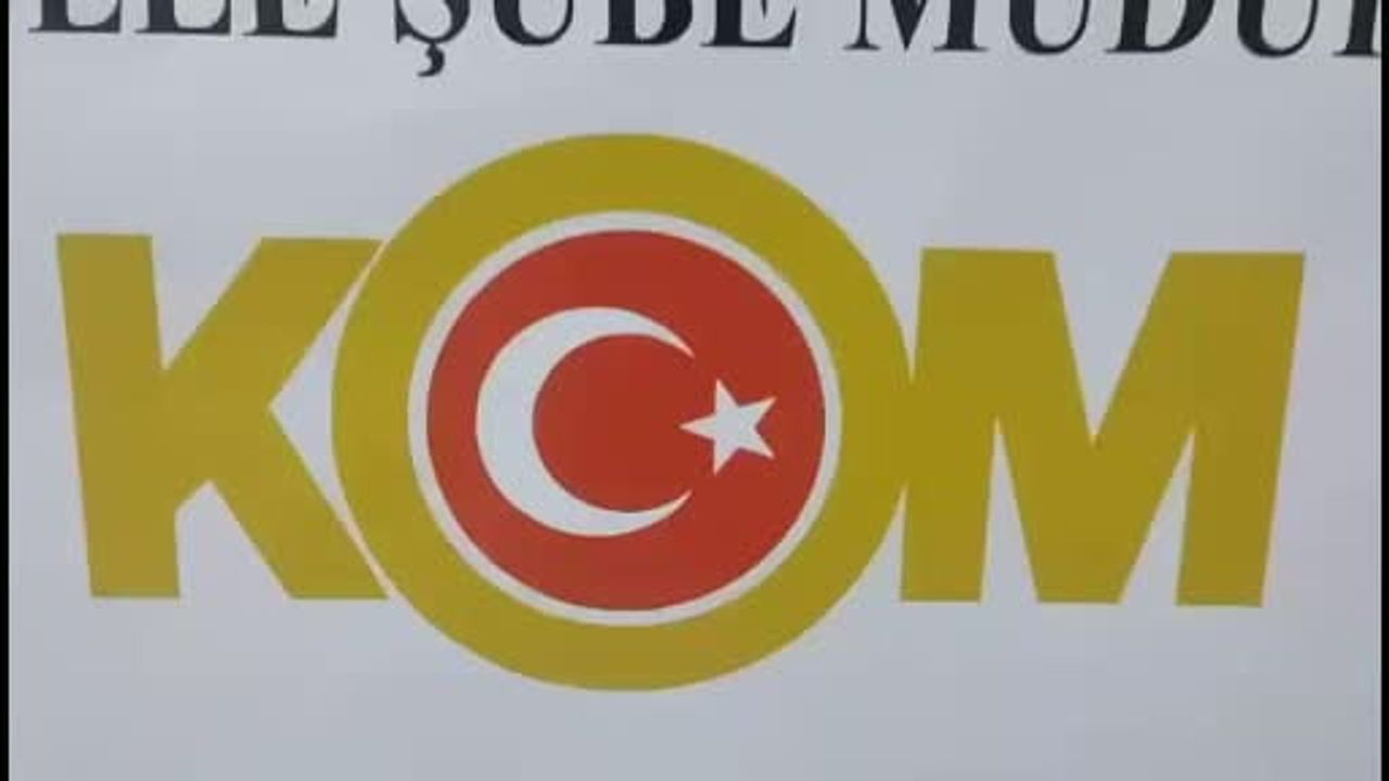 Samsun'da tescile tabi 13 tabanca evlerde ele geçirildi