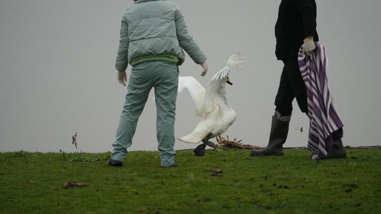 Samsun’da Yaban Hayatına Merhamet: Kızılırmak Deltası’nda İlk Yardım Ünitesi